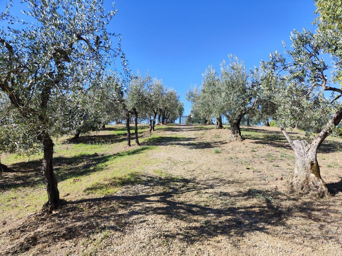 Agriturismo Sommassa Greve in Chianti Εξωτερικό φωτογραφία
