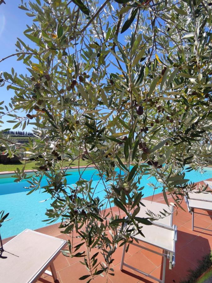 Agriturismo Sommassa Greve in Chianti Εξωτερικό φωτογραφία